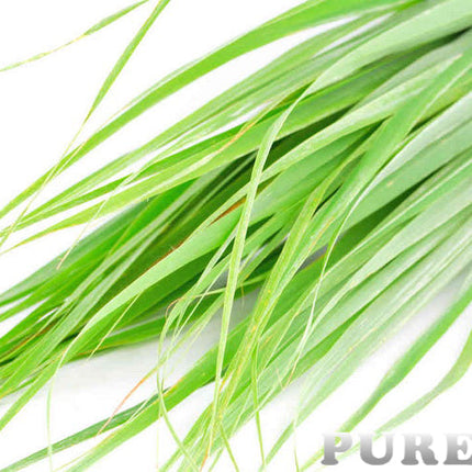 Palmarosa Essential Oil