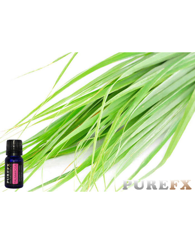 Palmarosa Essential Oil
