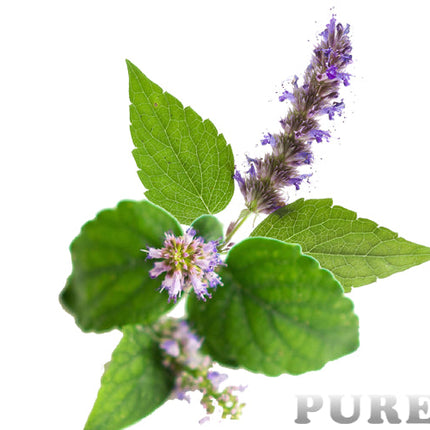 Patchouli Essential oil