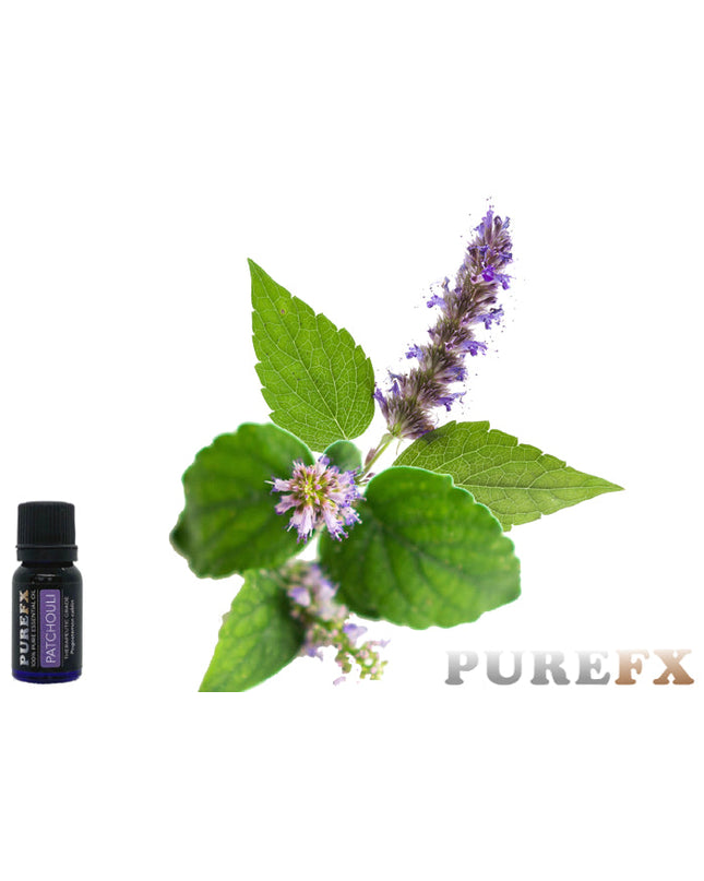 Patchouli Essential oil