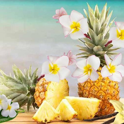 Pineapple&Frangipani_SD0AWJ496ENO.jpg
