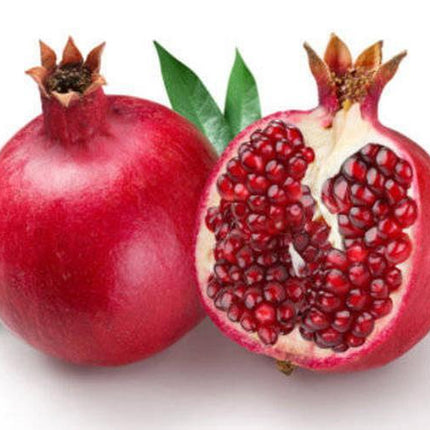 Pomegranate_oil_RXYGQC25WVYD.jpg