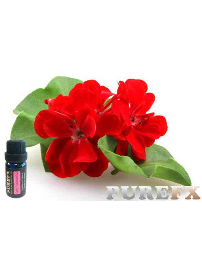 Rose Geranium Essential Oil