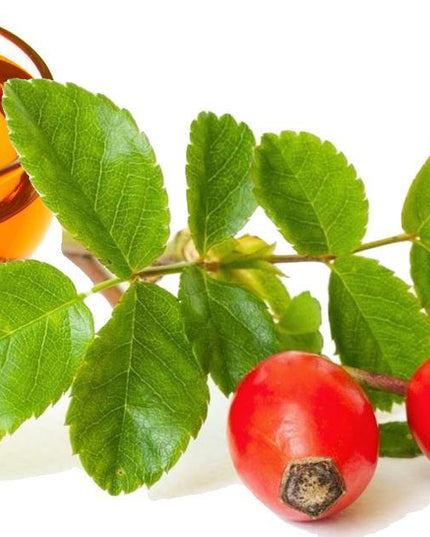 Rosehip-oil_RVY3DX1JQDZO.jpg