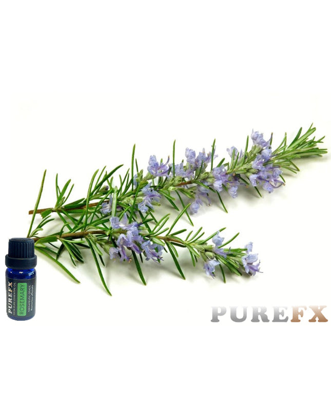 Rosemary Essential Oil