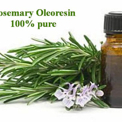 Rosemary_Oleoresin_SKZOI6ZCCUBU.jpg