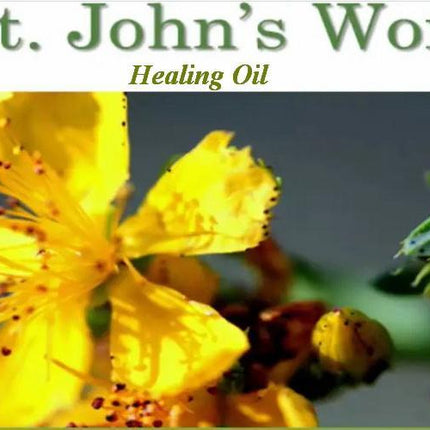 St_Johns_Wort_oil_SMLIG65X5DYW.JPG