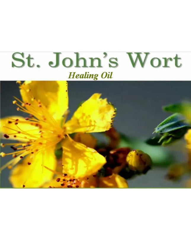 St_Johns_Wort_oil_SMLIG65X5DYW.JPG
