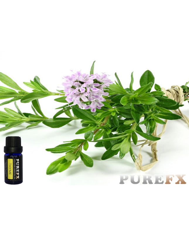 Thyme (white) Essential oil