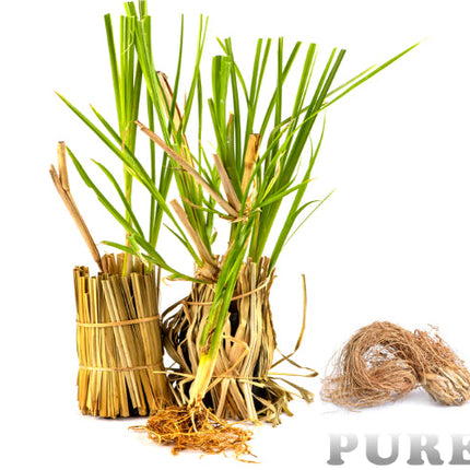 Vetiver Essential Oil