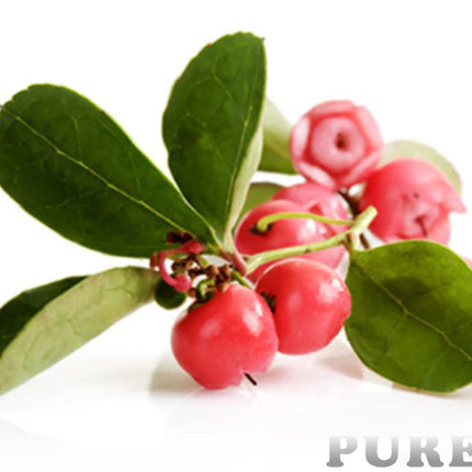 Wintergreen Essential Oil