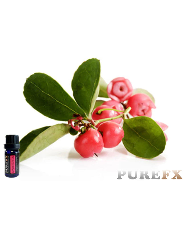 Wintergreen Essential Oil