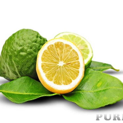 Bergamot Essential Oil
