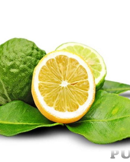 Bergamot Essential Oil