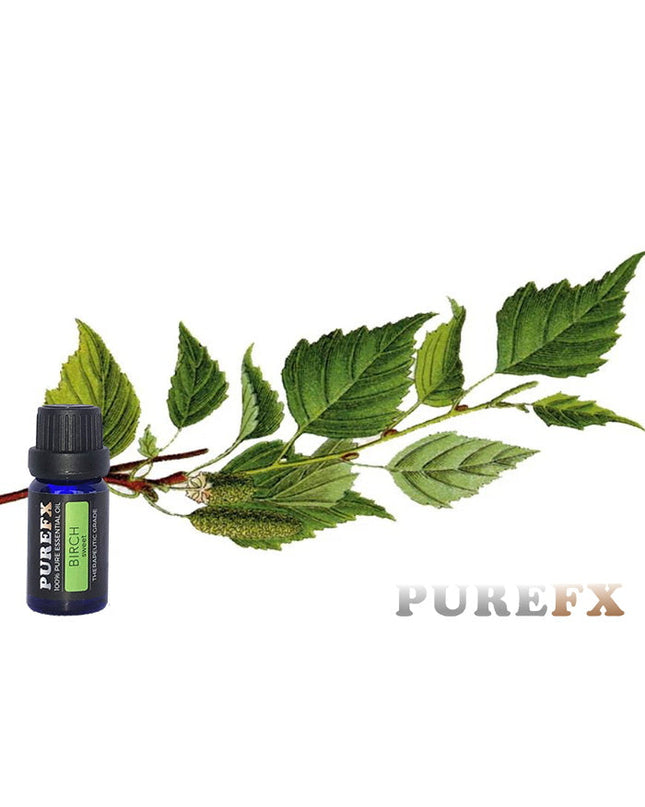 Birch (sweet) Essential Oil