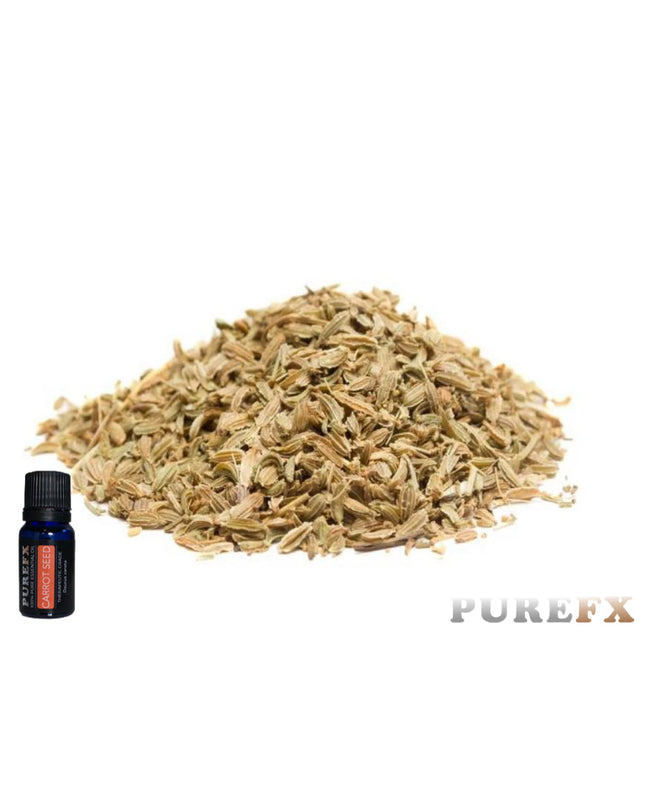 Carrot Seed Essential Oil