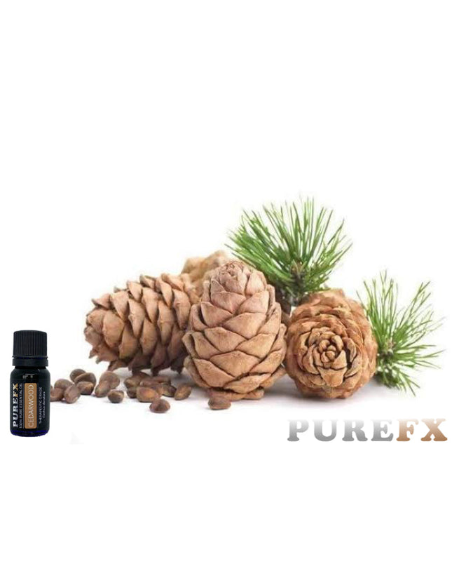 Cedarwood Essential Oil