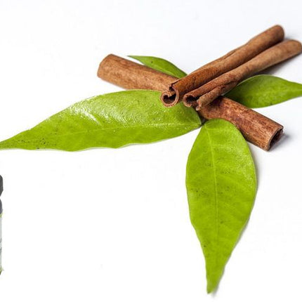 Cinnamon Essential Oil