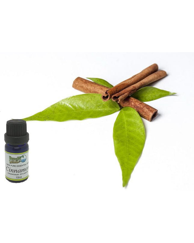 Cinnamon Essential Oil