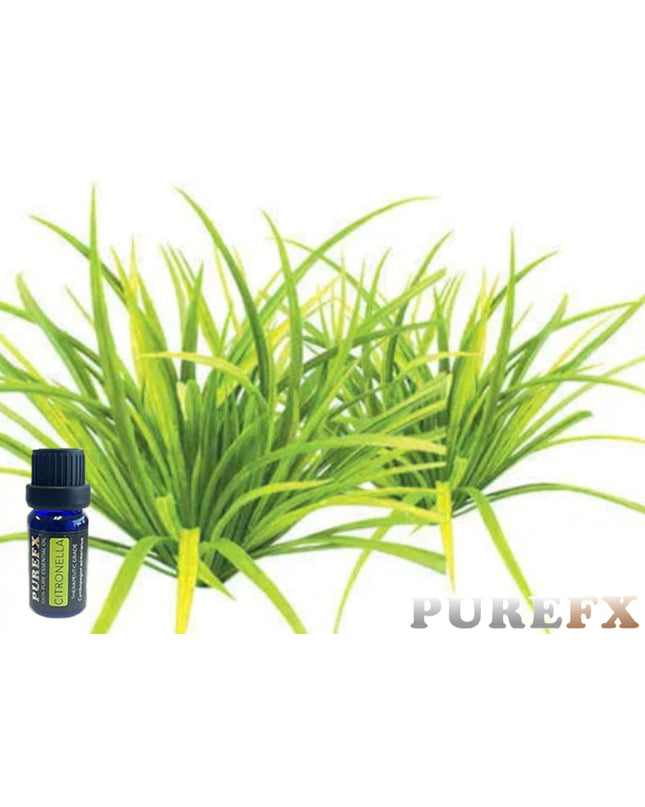 Citronella Essential Oil