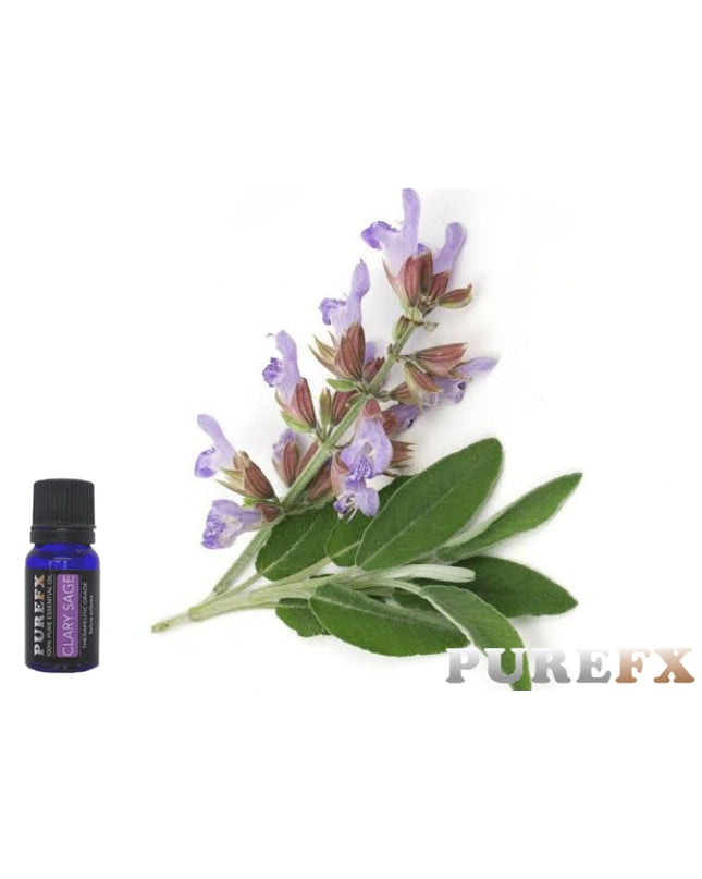 Clary Sage Essential oil