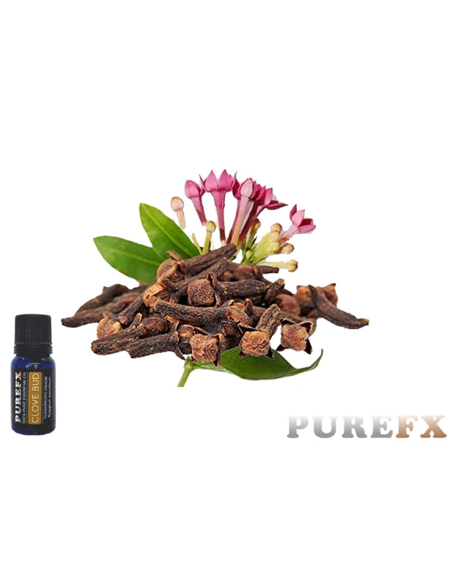 Clove Bud Essential oil