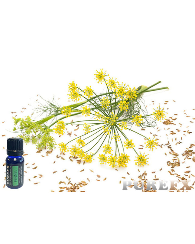 Fennel Essential oil