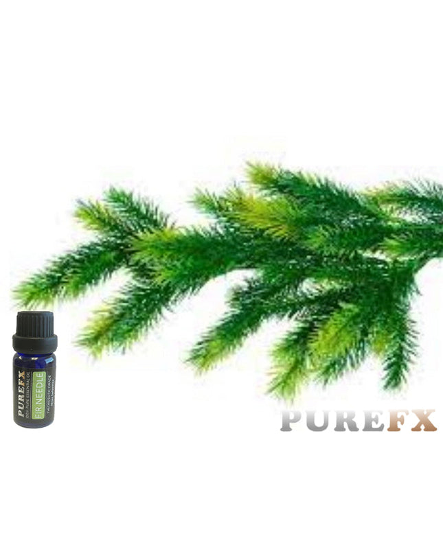 Fir Needle Essential Oil