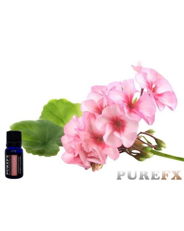 Geranium Essential Oil