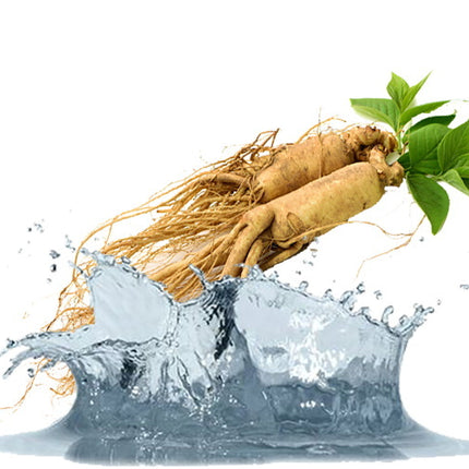 Ginseng Liquid Extract