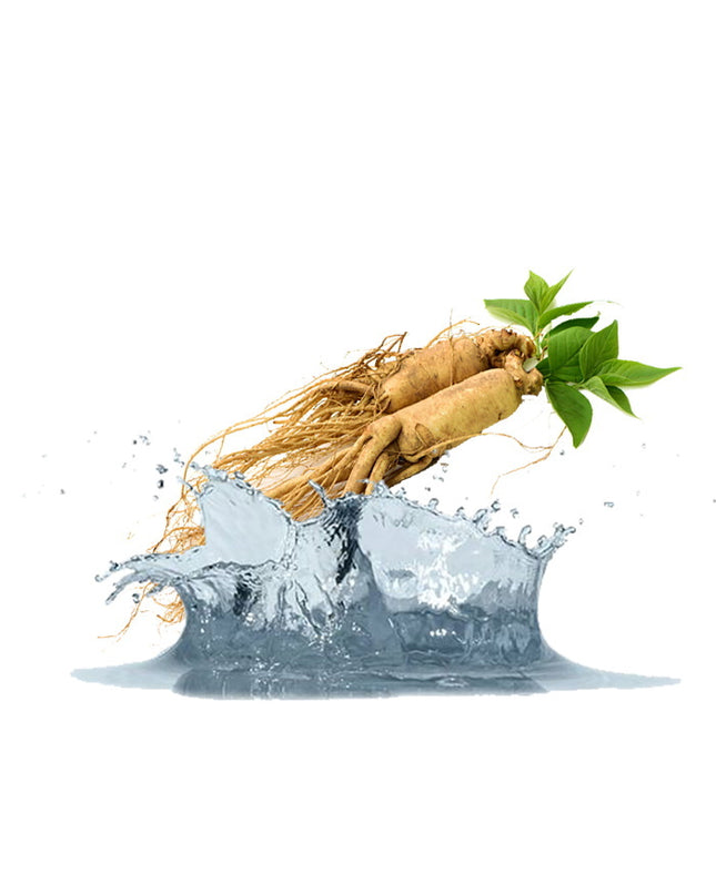 Ginseng Liquid Extract