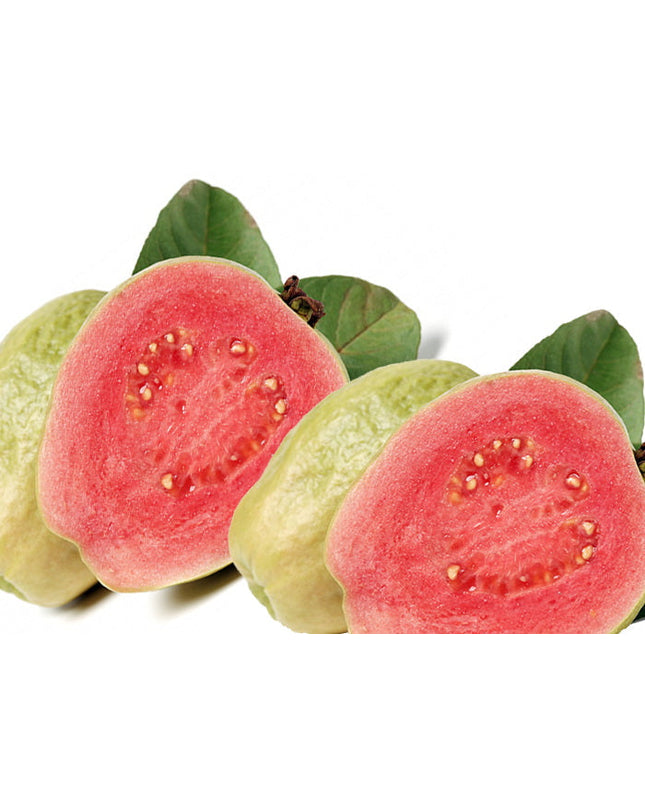 Guava Fragrance Oil