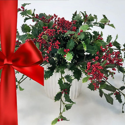 Holly Berry - Fragrance Oil