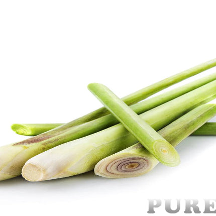 Lemongrass Essential Oil