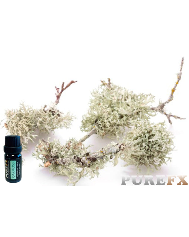 Oakmoss Essential Oil