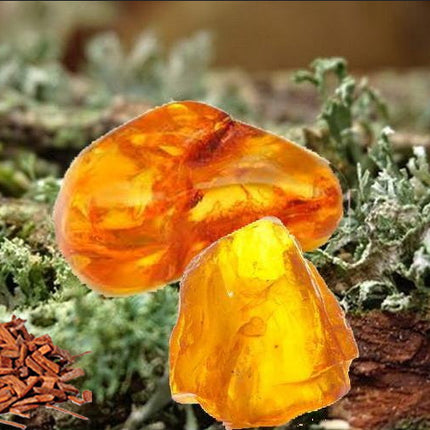 Oakmoss, Sandalwood & Amber Fragrance Oil