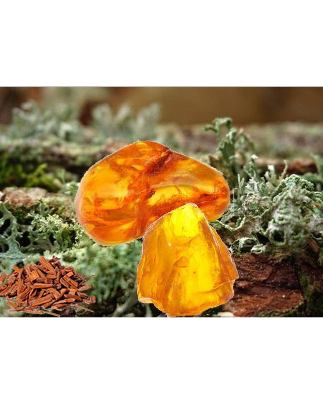 Oakmoss, Sandalwood & Amber Fragrance Oil