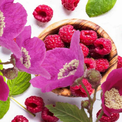 Wild Rose and Raspberry Fragrance Oil