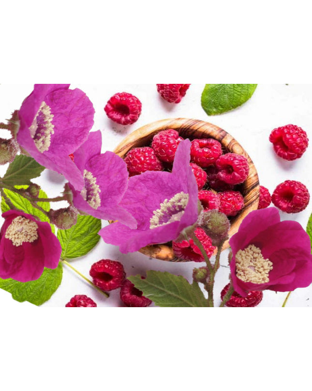 Wild Rose and Raspberry Fragrance Oil
