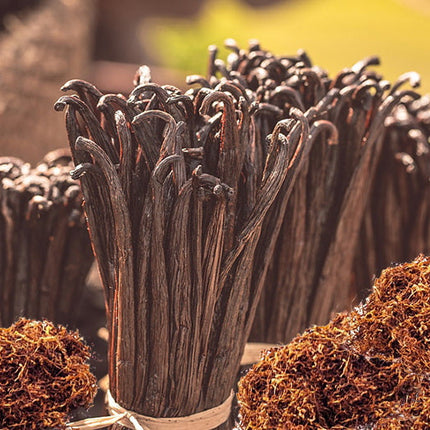 Vanilla & Tobacco Fragrance Oil