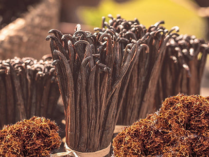 Vanilla & Tobacco Fragrance Oil