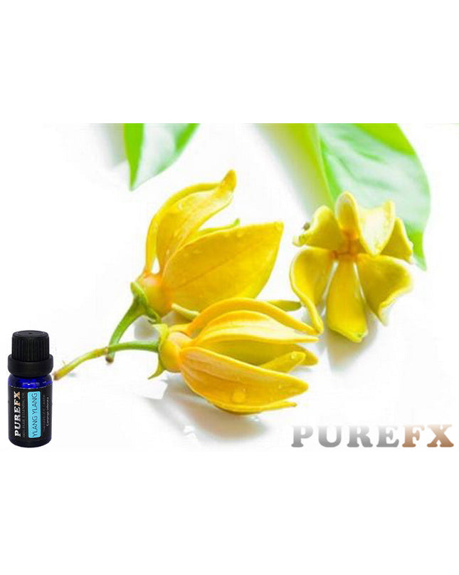 Ylang Ylang Essential oil